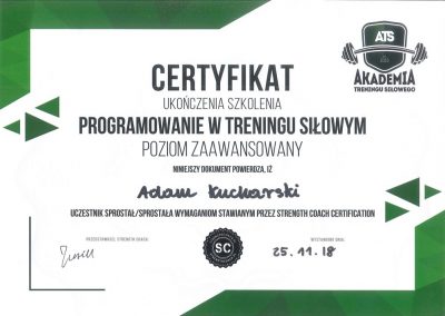 prgramowanie w treningu siłowym